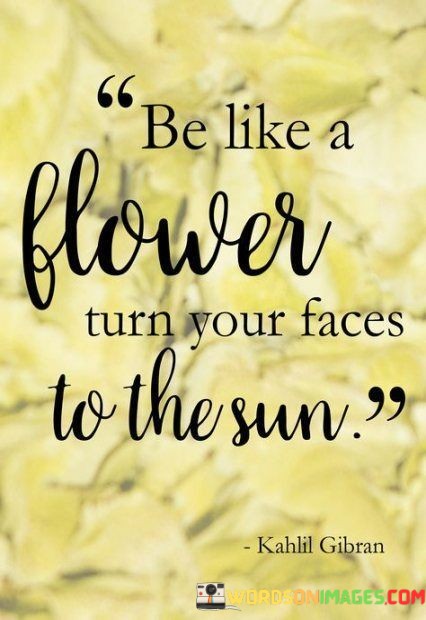 Be-Like-A-Flower-Turn-Your-Faces-To-The-Sun-Quotes.jpeg