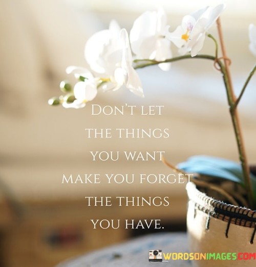 Dont-Let-The-Things-You-Want-Make-You-Forget-The-Things-You-Have-Quotes.jpeg