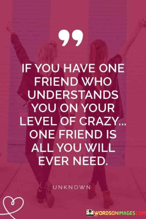 If You Have Friend Who Understands You On Your Level Of Crazy Quotes