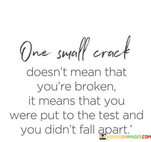 One-Small-Crack-Doesnt-Mean-That-Youre-Broken-It-Means-That-You-Were-Put-Quotes.jpeg