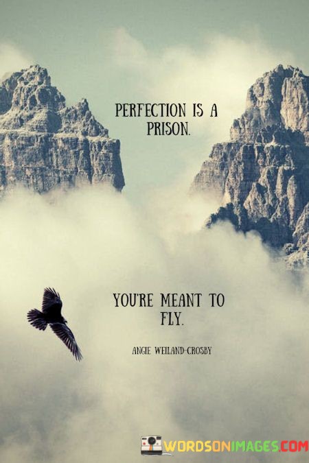 Perfection-Is-A-Prison-Youre-Meant-To-Fly-Quotes.jpeg