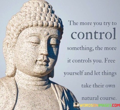 The-More-You-Try-To-Control-Somethings-The-More-It-Controls-You-Quotes.jpeg
