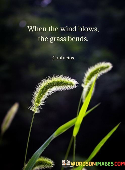 When-The-Wind-Blows-The-Grass-Bends-Quotes.jpeg