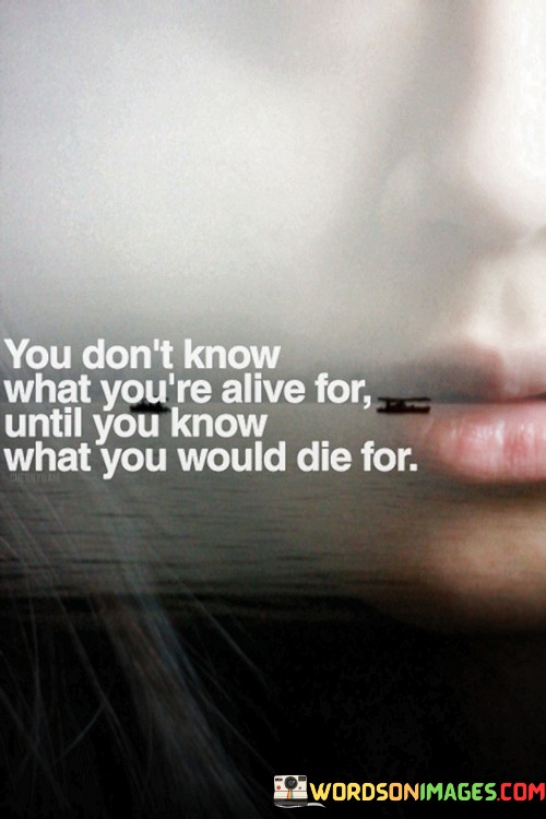 You-Dont-Know-What-Youre-Alive-For-Until-You-Know-What-You-Would-Die-For-Quotes.jpeg