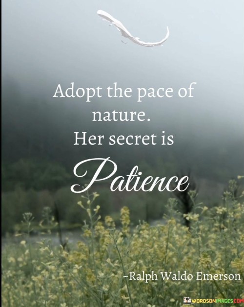 Adopt-A-Piece-Of-Nature-Her-Secret-Is-Patience-Quotes.jpeg