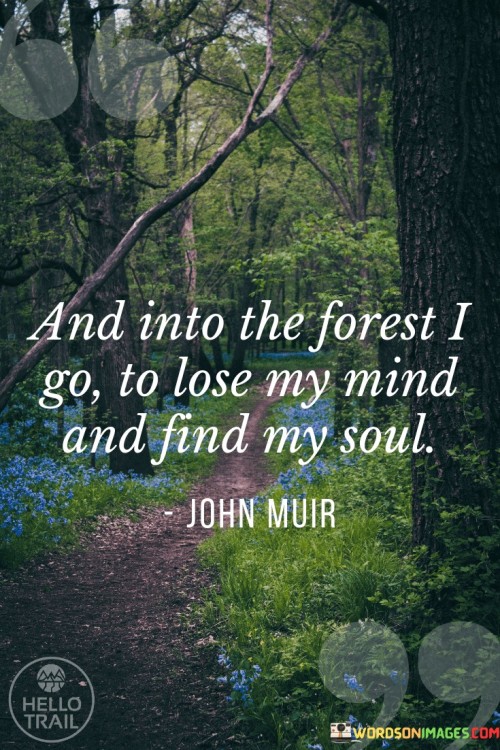 And-Into-The-Forest-I-Go-To-Lose-My-Mind-And-Find-My-Soul-Quotes.jpeg