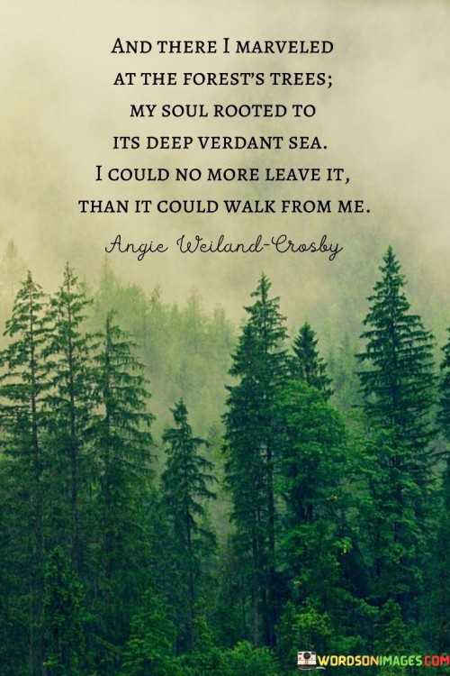 And-There-I-Marveled-At-The-Forests-Trees-My-Soul-Rooted-Quotes.jpeg