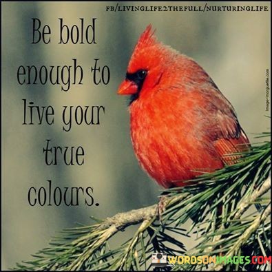 Be-Bold-Enough-To-Live-Your-True-Colours-Quotes.jpeg
