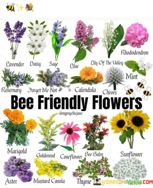 Be Friendly Flowers Quotes