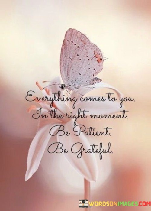 Everything-Comes-To-You-In-The-Right-Moment-Be-Patient-Be-Grateful-Quotes.jpeg