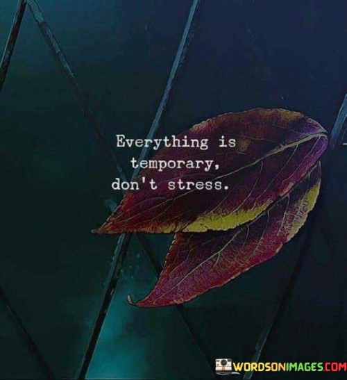 Everything Is Temporary Don't Stress Quotes