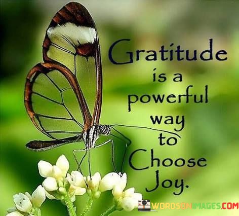 Gratitude-Is-A-Powerful-Way-To-Choose-Joy-Quotes.jpeg