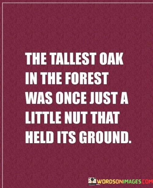 The-Tallest-Oak-In-The-Forest-Was-Once-Just-A-Quotes.jpeg