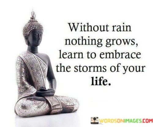 This quote imparts a valuable lesson about adversity and personal growth. In the quote, it suggests that just as rain is necessary for the growth of plants and life, the storms or challenges we face in our lives are essential for our own growth and development.

The quote implies that instead of avoiding or fearing life's storms, we should embrace them as opportunities for learning, resilience, and personal transformation.

Overall, this quote serves as a reminder to view adversity as a natural and necessary part of our journey, one that can lead to personal growth and strength. It encourages us to face life's challenges with courage and a mindset of learning and growth.