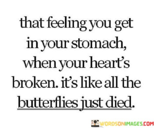 This quote vividly captures the physical and emotional sensations that accompany heartbreak. It suggests that the pain of a broken heart is so intense that it feels as if all the positive and hopeful feelings have vanished.

The quote highlights the profound impact of heartbreak on both the emotional and physical realms. It implies that the joyful and light sensations associated with butterflies have been replaced by a heavy and distressing feeling.

In essence, the quote speaks to the depth of emotional pain that comes with heartbreak. It's a visceral representation of the tangible effects of lost love and shattered hopes. It acknowledges the mind-body connection and the way emotions can manifest physically. Ultimately, it's a poetic description of the anguish that accompanies the end of a significant relationship.