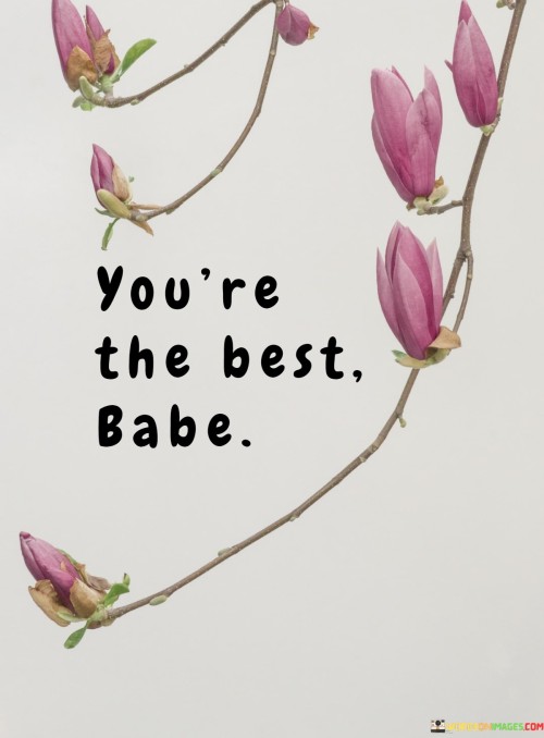 This affectionate phrase carries a message of admiration and appreciation. It's a term of endearment that communicates a deep level of affection and high regard for the person it's directed towards. By stating "You're the best," the speaker expresses their belief that the individual is exceptional in their own unique way.

The use of "babe" in the phrase adds an intimate and personal touch. It's a term often used in close relationships to signify warmth and closeness. The combination of "You're the best" and "babe" conveys a sense of emotional connection, where the speaker wants to uplift and support the person they're addressing.

Beyond its literal meaning, this phrase reflects the desire to make someone feel special and valued. It's a way of boosting someone's self-esteem and making them feel recognized for their qualities and contributions. By acknowledging someone as "the best," the speaker is affirming their importance and highlighting the positive impact they have on their life.