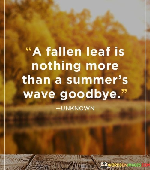 A Fallen Leaf Is Nothing More Than A Summer's Wave Quotes