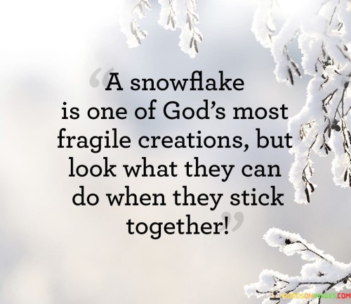 A Snowflake Is One Of God's Most Fragile Creations But Quotes