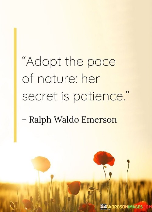 Adopt-The-Pace-Of-Nature-Her-Secret-Is-Patience-Quotes.jpeg