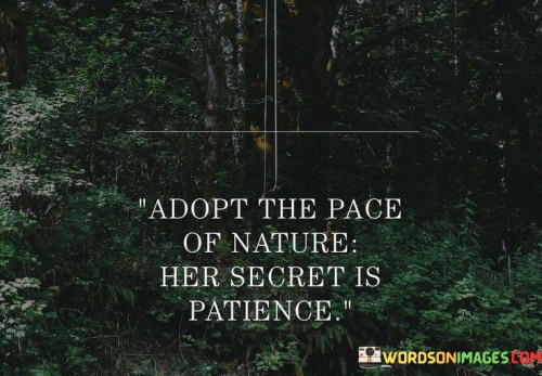 Adopt-The-Pace-Of-Nature-Her-Secret-Is-Patience-Quotesb99f4a26d3e2896d.jpeg