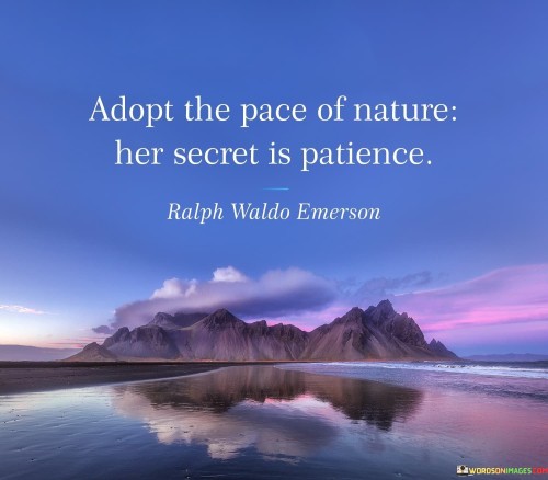 Adopt-The-Pace-Of-Nature-Her-Secret-Quotes.jpeg