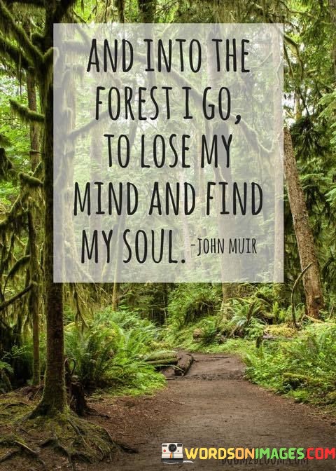 And-Into-The-Forest-I-Go-To-Lose-My-Mind-Quotes.jpeg