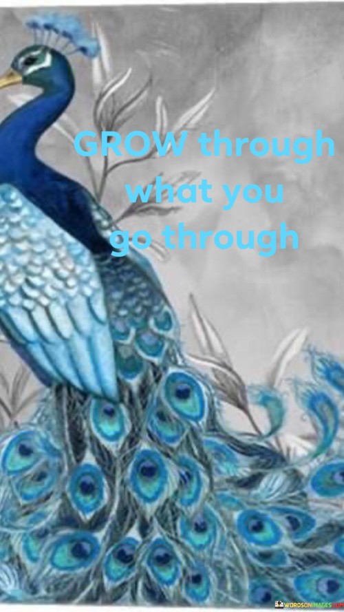 Grow-Through-What-You-Go-Through-Quotes.jpeg