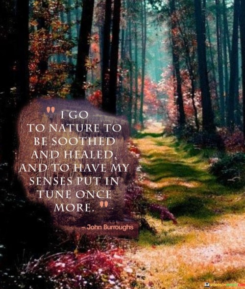 I-Go-To-Nature-To-Be-Soothed-And-Healed-Quotes.jpeg