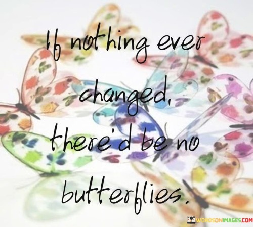 If Nothing Ever Changed There'd Be No Butterflies Quotes