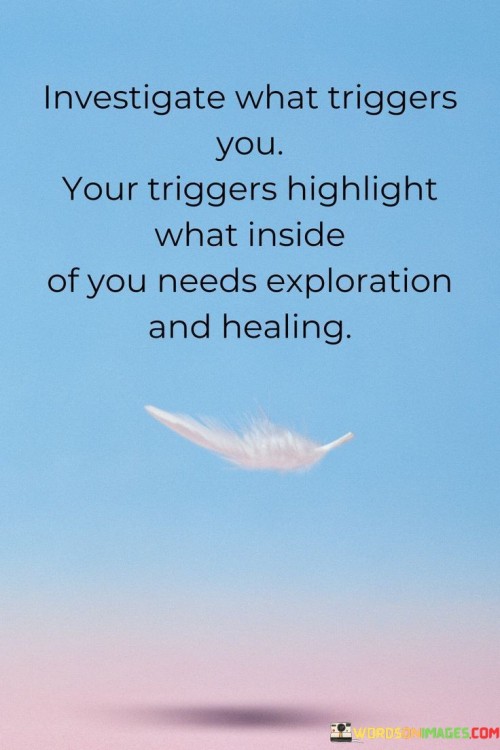 Investigate What Triggers You Your Triggers Highlight Quotes