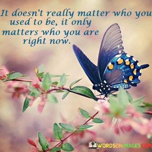 It Doesn't Not Really Matter Who You Used To Be Quotes