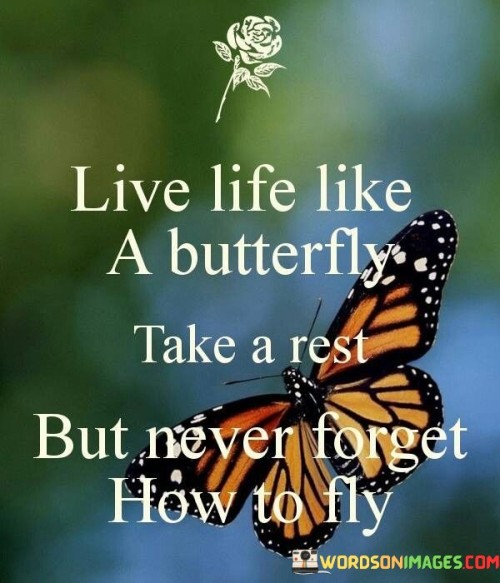 Live-Life-Like-A-Butterfly-Take-A-Rest-But-Never-Forget-Quotes.jpeg