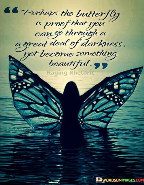 Perhaps The Butterfly Is Proof That You Can Go Through A Great Quotes