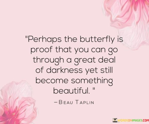 Perhaps The Butterfly Is Proof That You Can Go Through Quotes