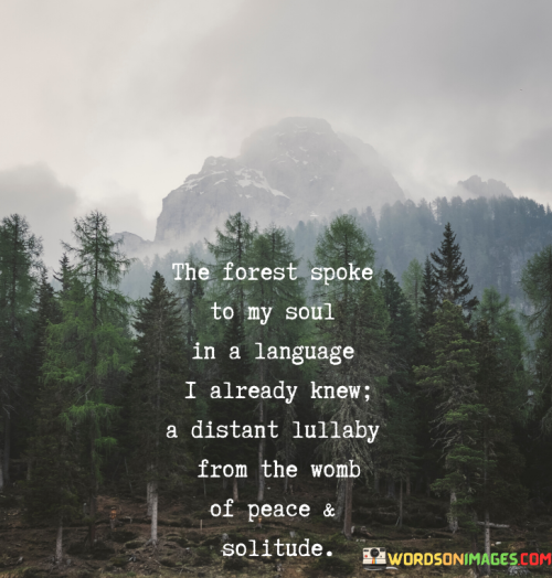 The-Forest-Spoke-To-My-Soul-In-A-Language-I-Already-Knew-Quotes.png