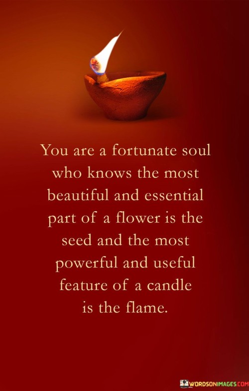 You Are A Fortunate Soul Who Knows The Most Beautiful And Essential Quotes