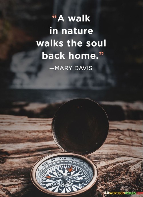 A Walk In Nature Walks The Soul Back Home Quotes