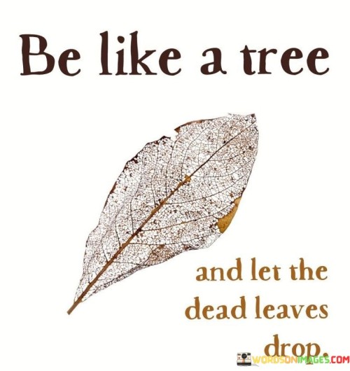 Be-Like-A-Tree-And-Let-The-Dead-Leaves-Drop-Quotes.jpeg