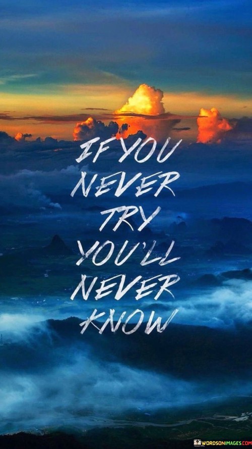 If-You-Never-Try-Youll-Never-Know-Quotes.jpeg