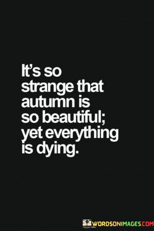 It's So Strange That Autumn Is So Beautiful Quotes