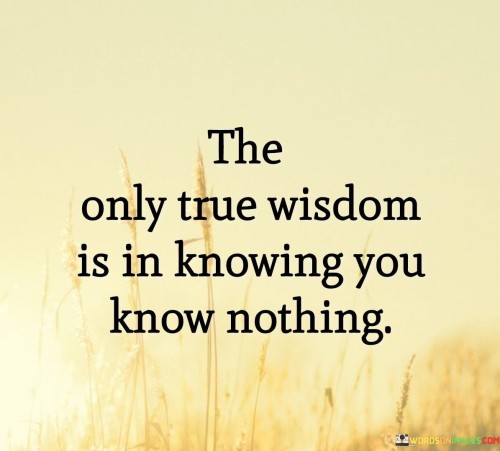 This quote, often attributed to the ancient Greek philosopher Socrates, highlights the concept of humility and self-awareness. It suggests that acknowledging our lack of knowledge or understanding is the first step toward true wisdom. When we realize that there is so much we don't know, we become more open-minded and receptive to learning from others and from the world around us. This mindset encourages a continuous pursuit of knowledge and a willingness to question and explore new ideas.

Furthermore, the quote challenges the notion of absolute certainty and arrogance. It reminds us that no matter how much we may think we know, there will always be more to learn and discover. Embracing this idea of "knowing nothing" humbles us and prevents us from becoming complacent or closed-minded. It encourages us to approach life with curiosity and a thirst for knowledge, leading to personal growth and intellectual development.

In essence, this quote speaks to the essence of wisdom—recognizing our limitations and embracing a humble attitude toward knowledge. By accepting that we are not all-knowing, we become more receptive to new perspectives and ideas. This mindset allows us to continually evolve and adapt, fostering a deeper understanding of ourselves, others, and the world around us. The pursuit of wisdom is a lifelong journey, and it begins with acknowledging that there is always more to learn and discover.