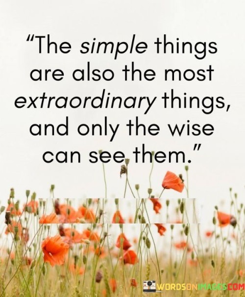 The-Simple-Things-Are-Also-The-Most-Extraordinary-Things-Quotes.jpeg