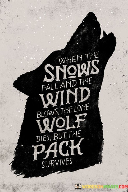 The quote alludes to the importance of unity and cooperation in the face of adversity. When winter's harsh conditions arrive and challenges arise, the lone wolf, who ventures out alone, is more susceptible to danger and may not survive. On the other hand, the pack, with its collective strength and support, has a better chance of survival.

Metaphorically, this quote highlights the significance of teamwork and solidarity in navigating difficult times. It emphasizes the power of coming together, helping and protecting one another, rather than facing challenges in isolation. Just like a pack of wolves, individuals who unite and support each other can overcome obstacles and thrive in the face of adversity.

In conclusion, the quote serves as a reminder of the value of companionship and cooperation during tough times. It encourages people to seek strength in unity and work together as a team to face life's challenges and increase the likelihood of survival and success.