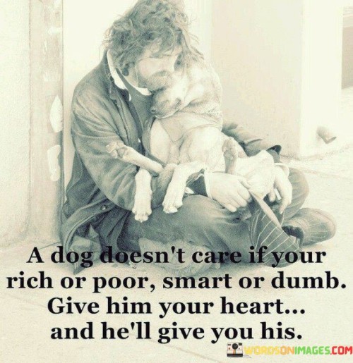 A Dog Doesn't Care If Your Rich Or Poor Smart Or Dhumb Quotes