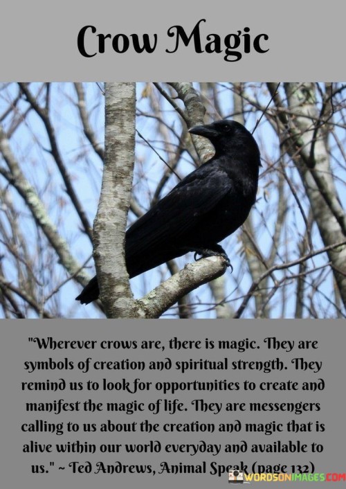 Crow-Magic-Wherever-Crows-Are-There-Is-Magic-They-Are-Symbols-Quotes.jpeg