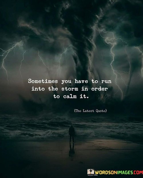 Sometimes-You-Have-To-Run-Into-The-Storm-In-Order-To-Quotes.jpeg