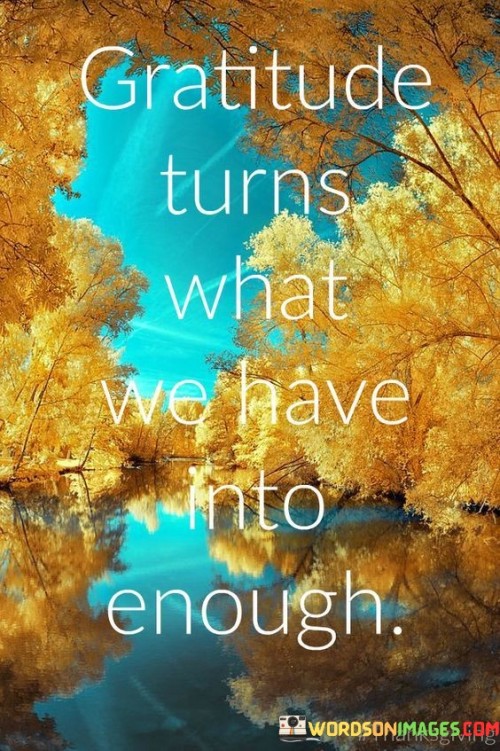 Gratitude Turns What We Have Into Enough Quotes