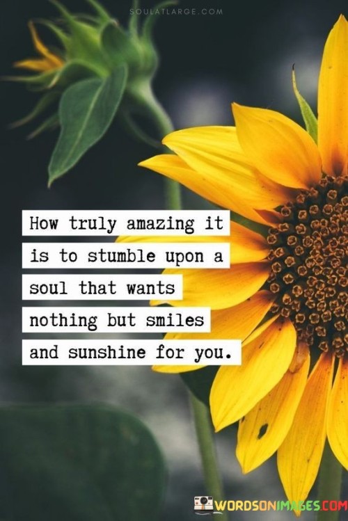 "How truly amazing it is to stumble upon a soul that wants nothing but smiles and sunshine for you." This quote beautifully captures the rare and wonderful feeling of encountering someone who genuinely wishes only the best for you.

In a world where genuine care and selfless intentions can sometimes be hard to come by, finding someone who truly wants your happiness and well-being can be a remarkable and heartwarming experience. The quote highlights the value of such connections, where the other person's happiness becomes as important as your own.

The imagery of "smiles and sunshine" evokes feelings of warmth, positivity, and joy. It signifies a relationship where negativity and selfish motives are absent, replaced by a genuine desire to see each other thrive. This kind of soulful connection is something to be cherished and celebrated, as it brings light and positivity to both individuals' lives.

Ultimately, the quote speaks to the beauty of authentic and supportive relationships, where mutual happiness is the ultimate goal. It's a reminder of how precious and valuable it is to have someone who wishes for your well-being and brings sunshine into your life.