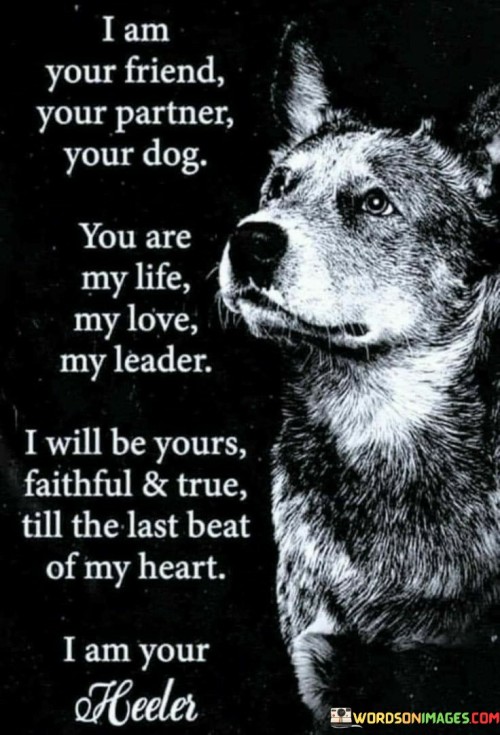 I Am Your Friend Your Partner Your Dog You Are My Life My Love Quotes