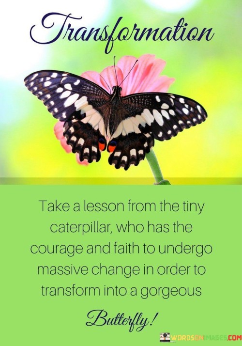 Take-A-Lesson-From-The-Tiny-Caterpillar-Who-Has-The-Courage-Quotes.jpeg